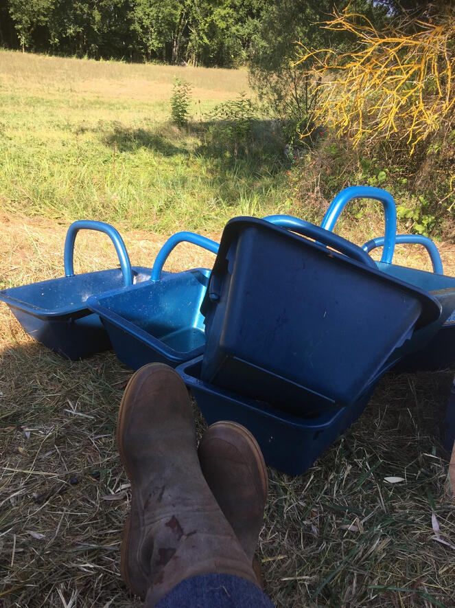 Sometimes Luci takes a rest!