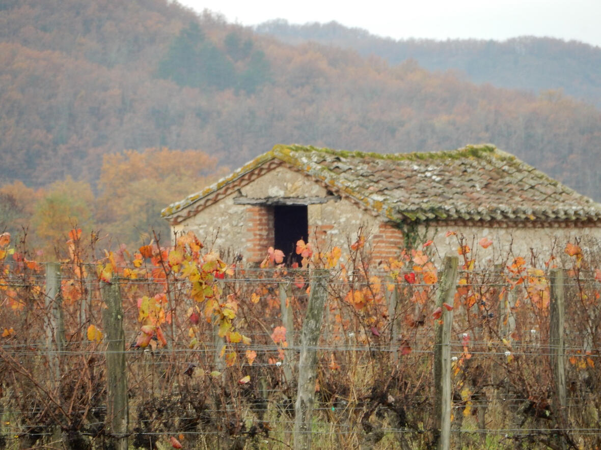 The perfect place to watch the seasons change